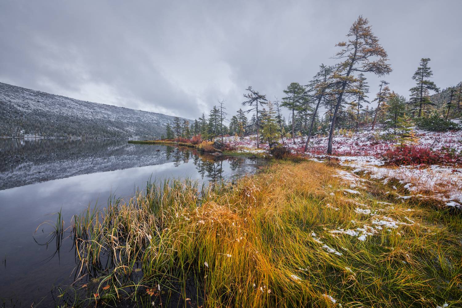 , Максим Евдокимов