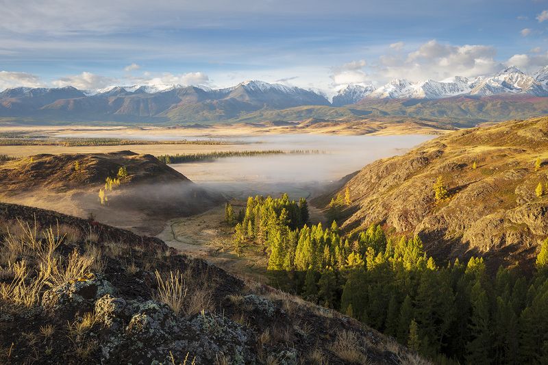 россия, алтай, горный алтай, курай, курайская степь,, чуя, туман, горы, пейзаж, Осенним утром. фото превью