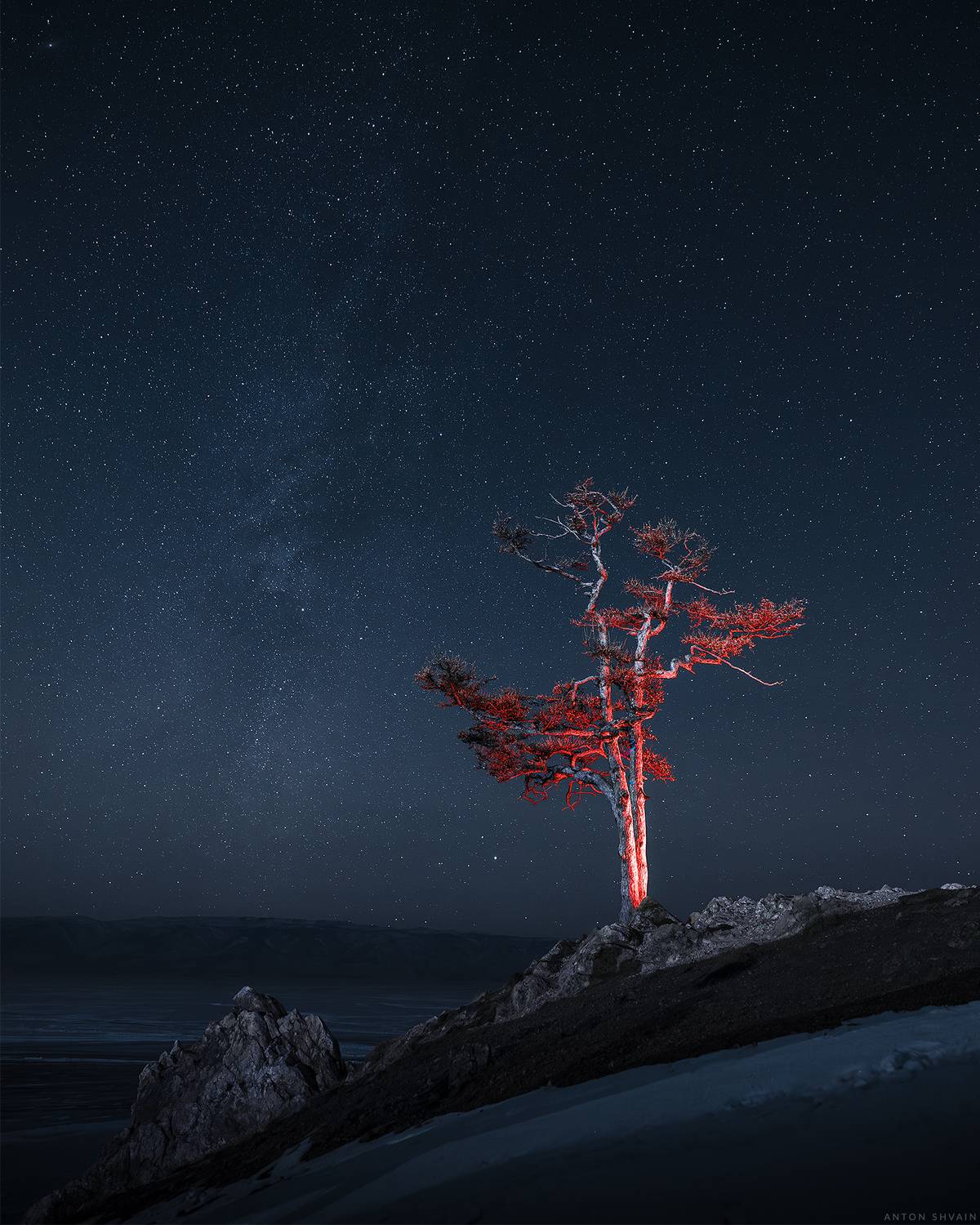 , Антон Шваин