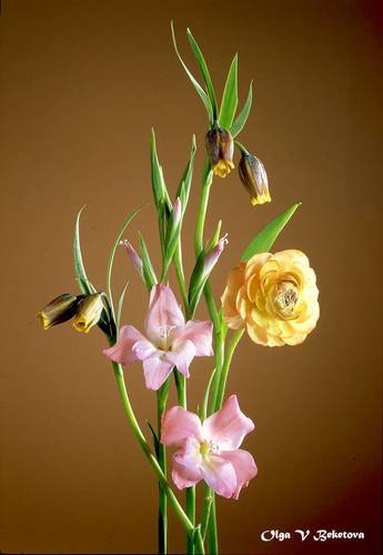 Весенняя мелодия