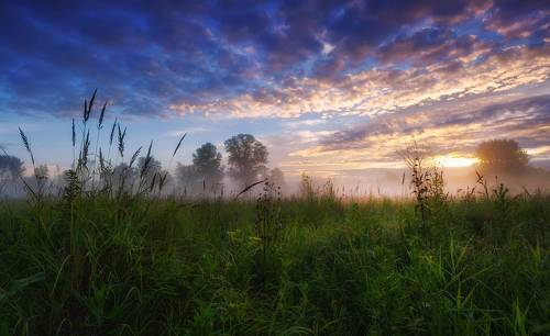Краски летнего утра