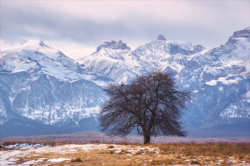 Медитация. фото превью