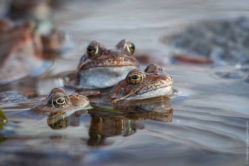 Love stories на Валдае