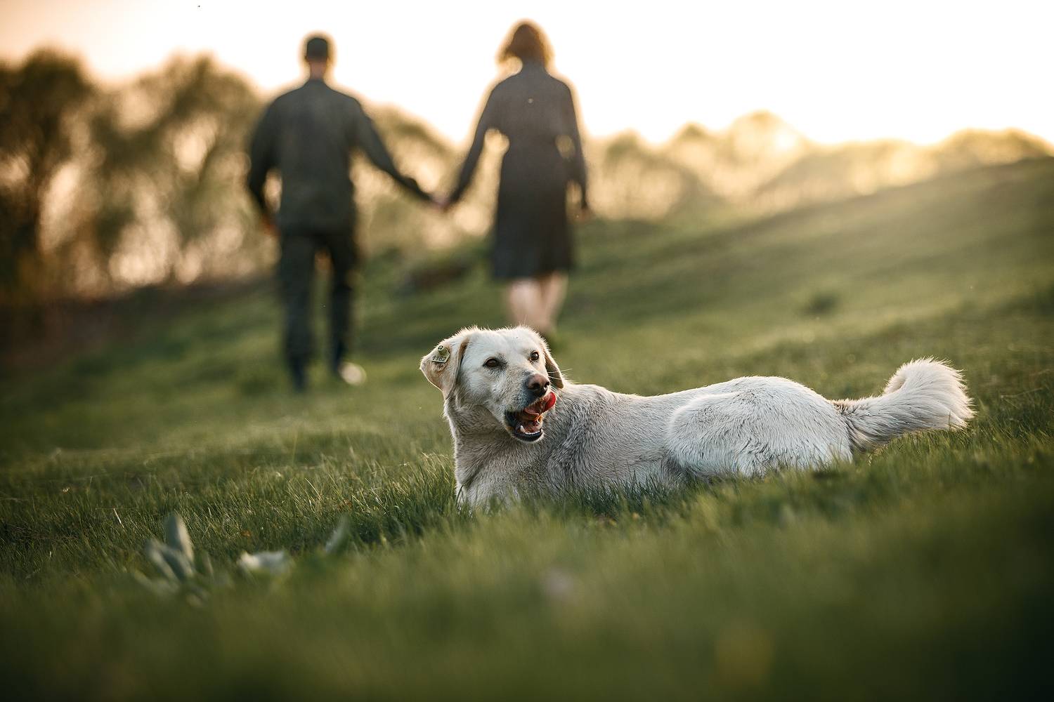 , Алексей Бондаренко