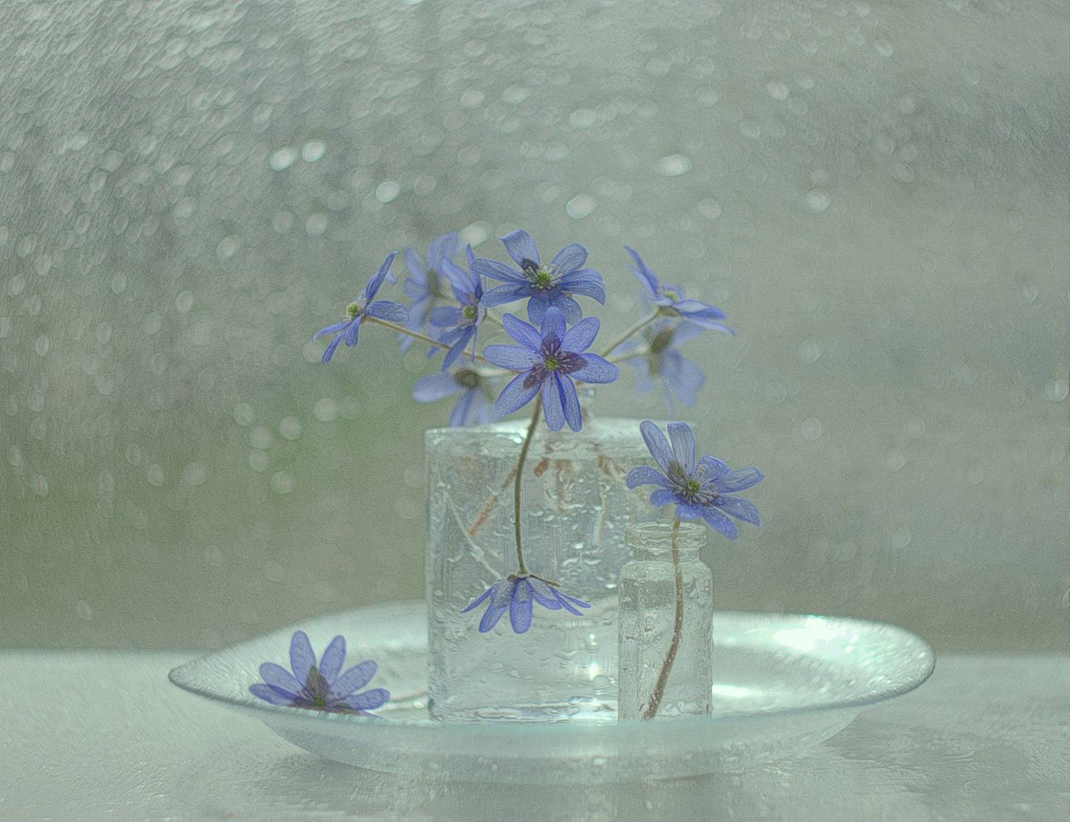 , Хохлова Наталья