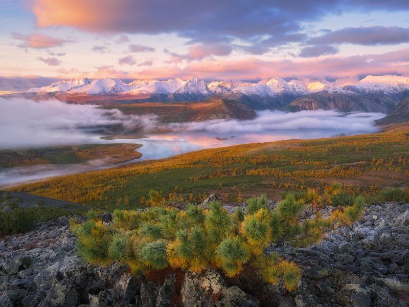 Панорама утреннего Джека фото превью