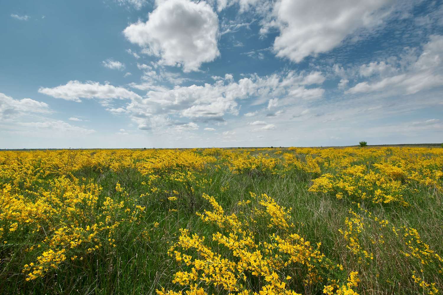 , Павел Сторчилов