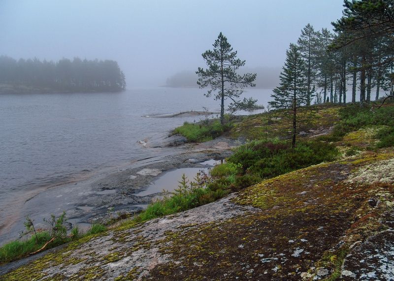 карелия, онего Хмурое утро фото превью