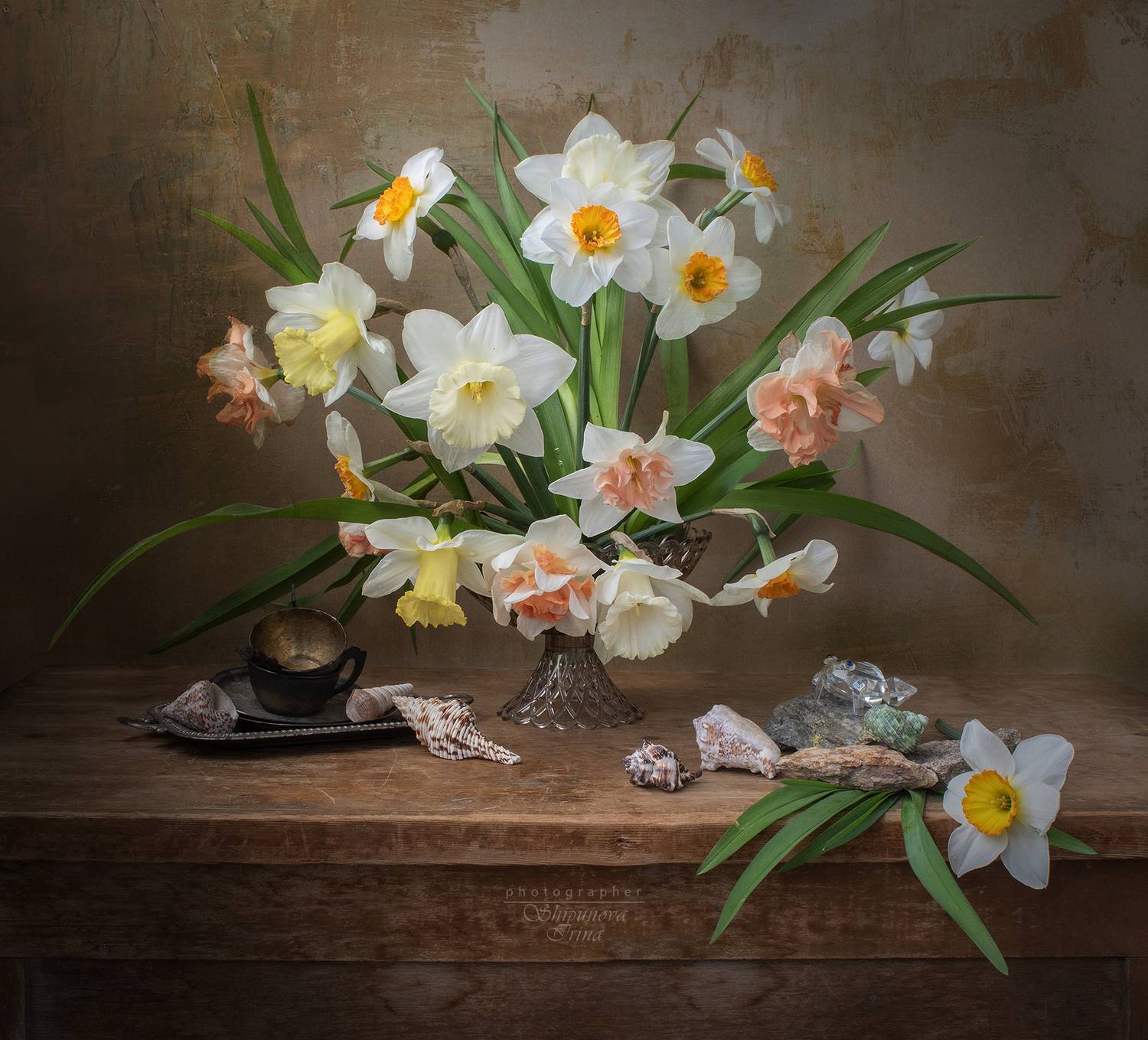 , Ирина Шипунова