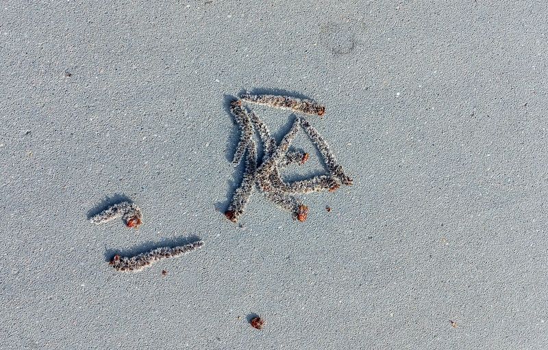 Иероглиф весны фото превью