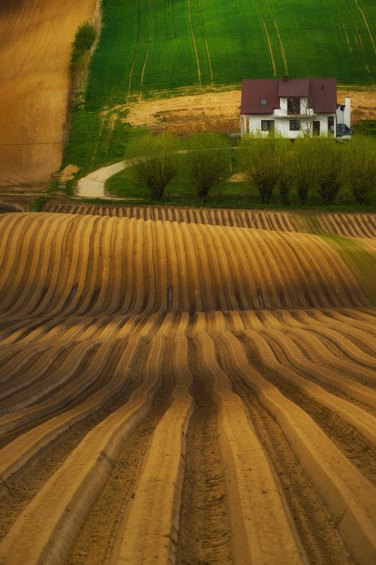 Photography, Nature, Rural, Agricultural, Field, Agriculture, Day, Hill, Farm, Rolling, Landscape, Ponidzie, Poland, Village, Rural Lonely house in Ponidzie фото превью