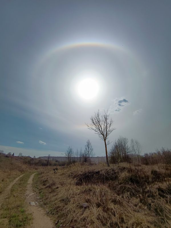 Гало фото превью