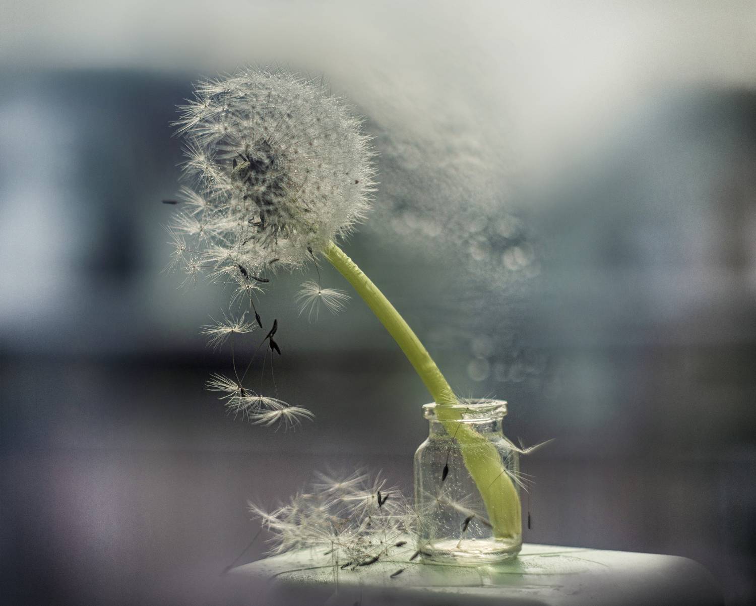 , Сигидова Ирина