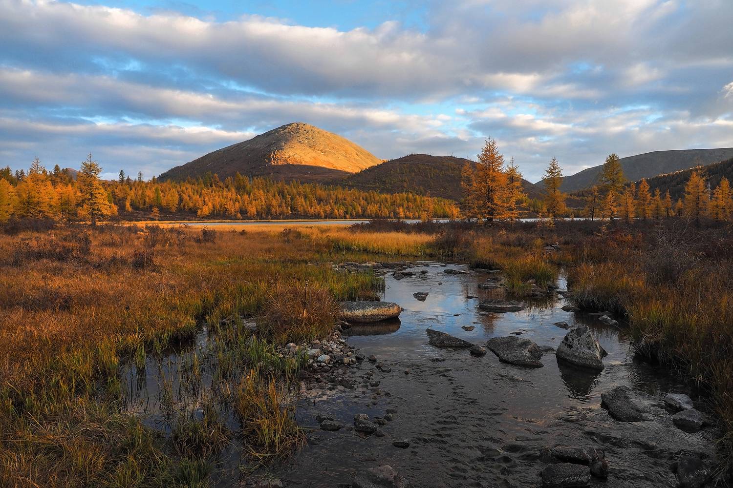 , Александр Попов