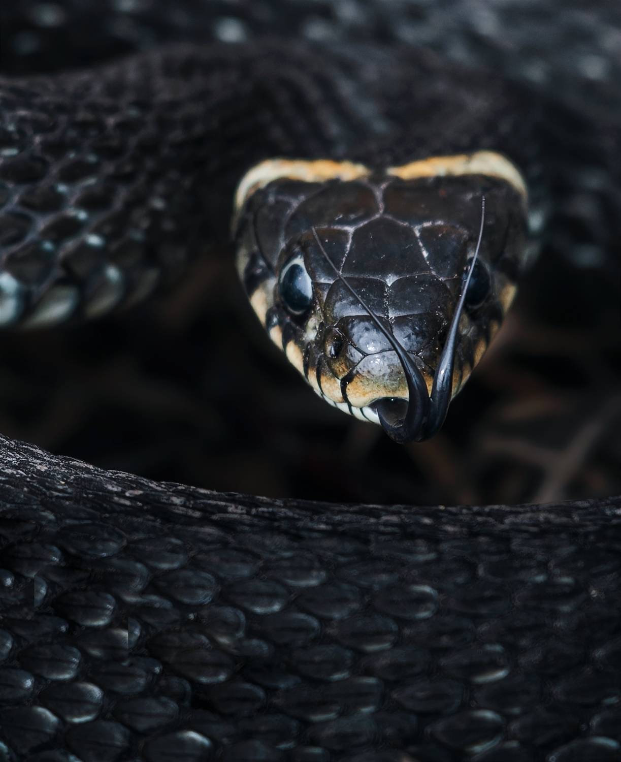 , Фото Александр