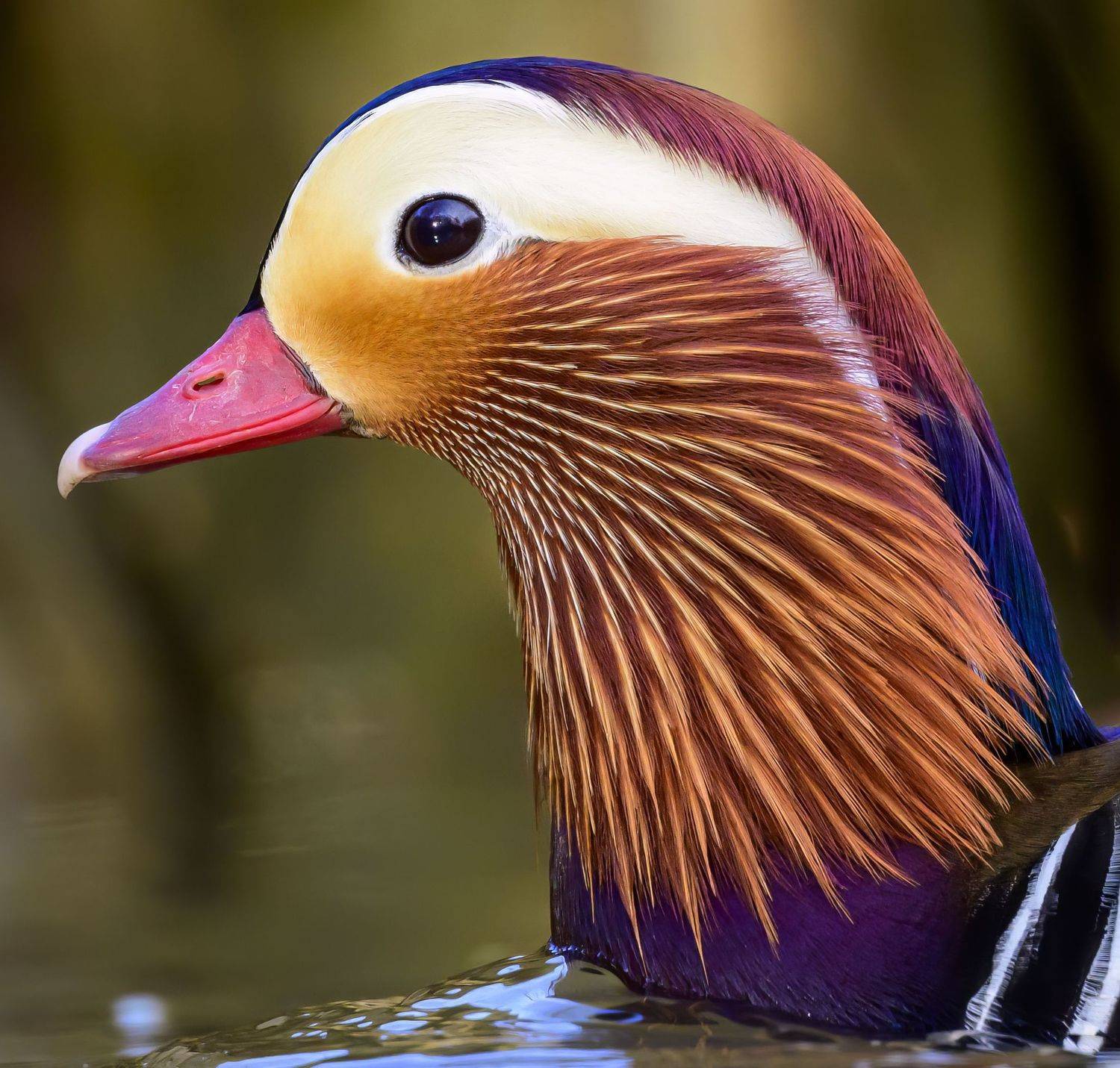 , Пупонин Сергей