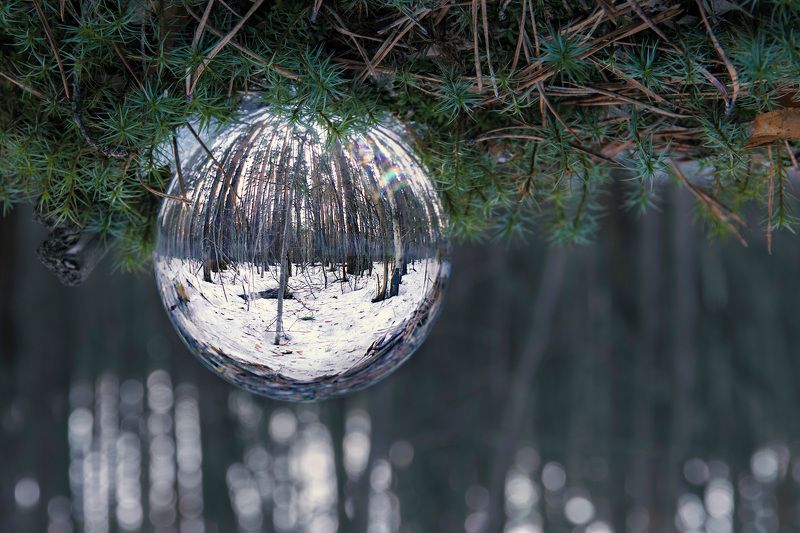 лес Весенний лес в стеклянном шаре фото превью