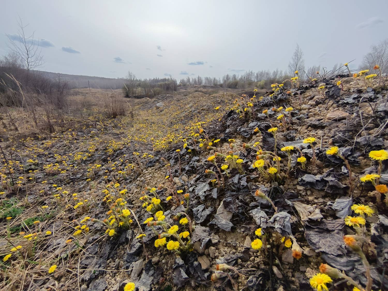 , Кондрашова Светлана