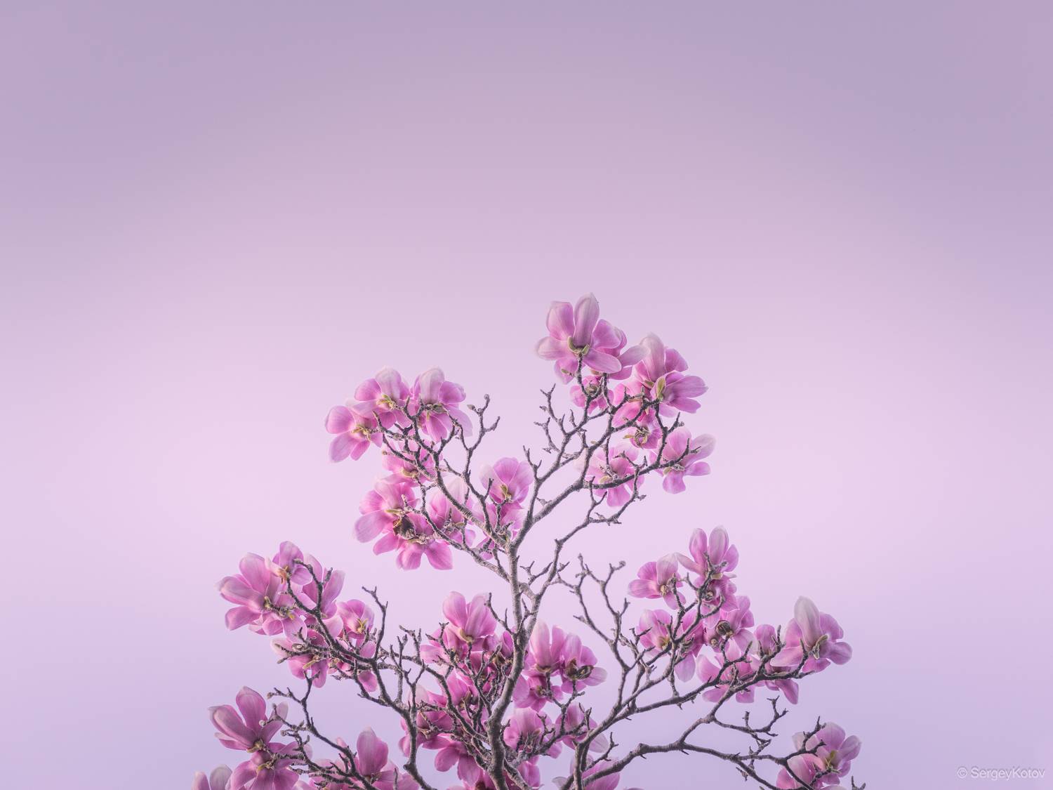 , Сергей Котов