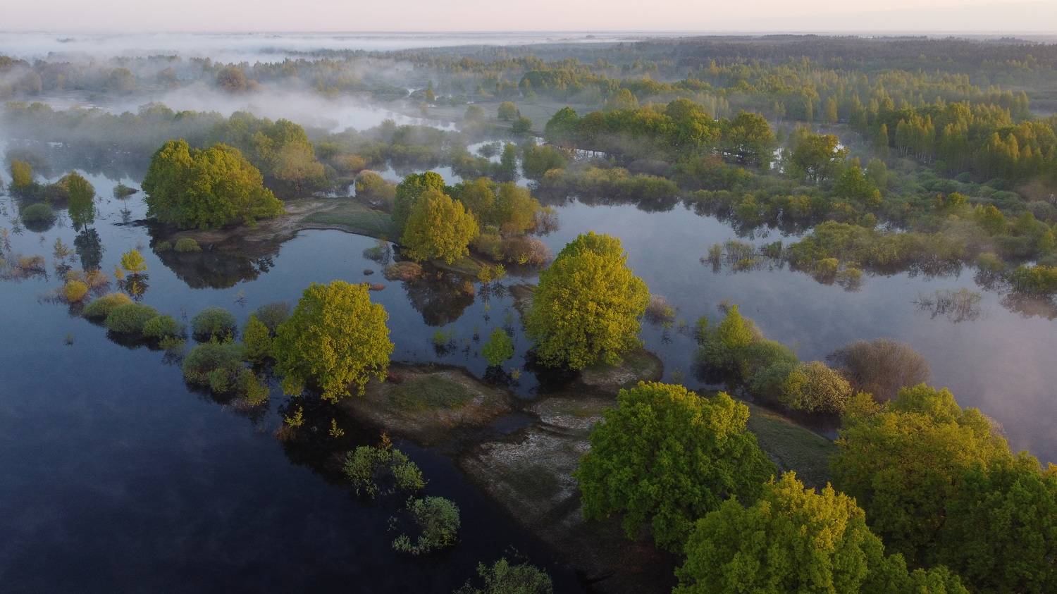 , Шляга Сергей