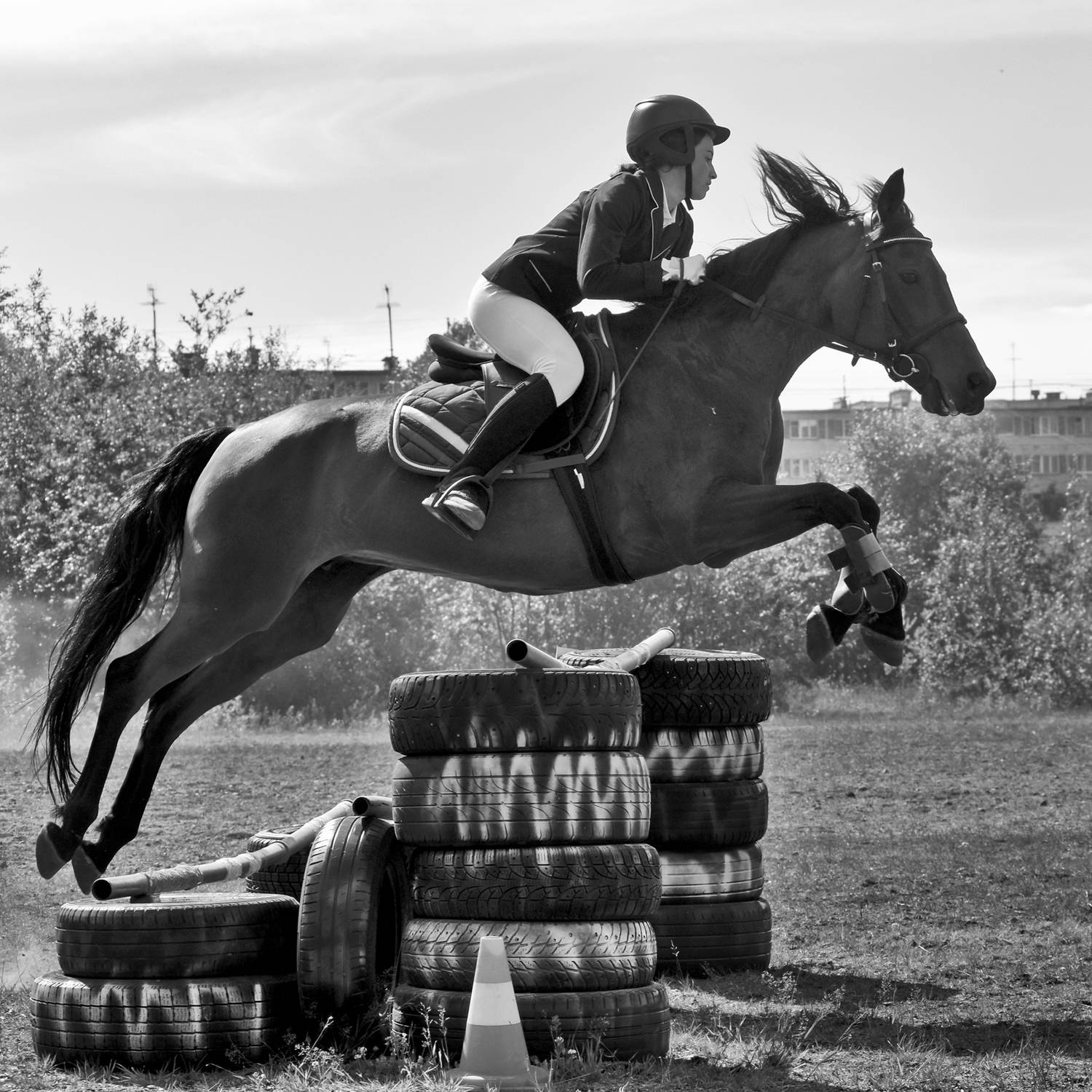кони, спорт, девушка, чб, апатиты, Николай Смоляк