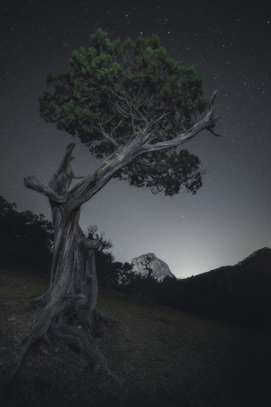 Под светом звёзд фото превью