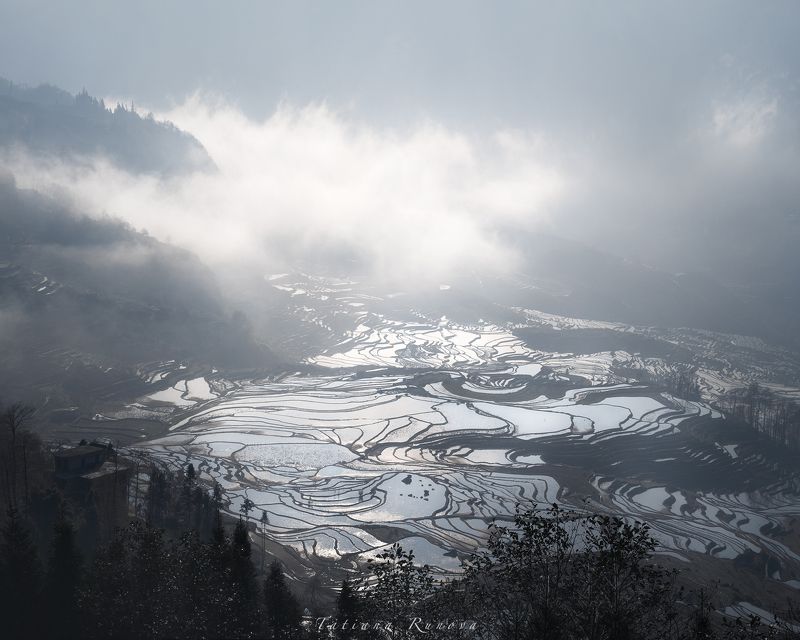 Серебряный блеск рисовых террас провинции Юньнань фото превью
