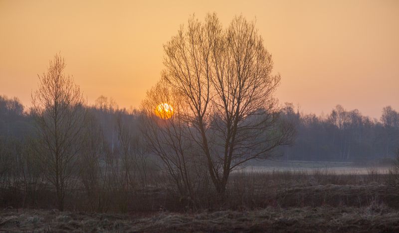 Рассвет весной. фото превью