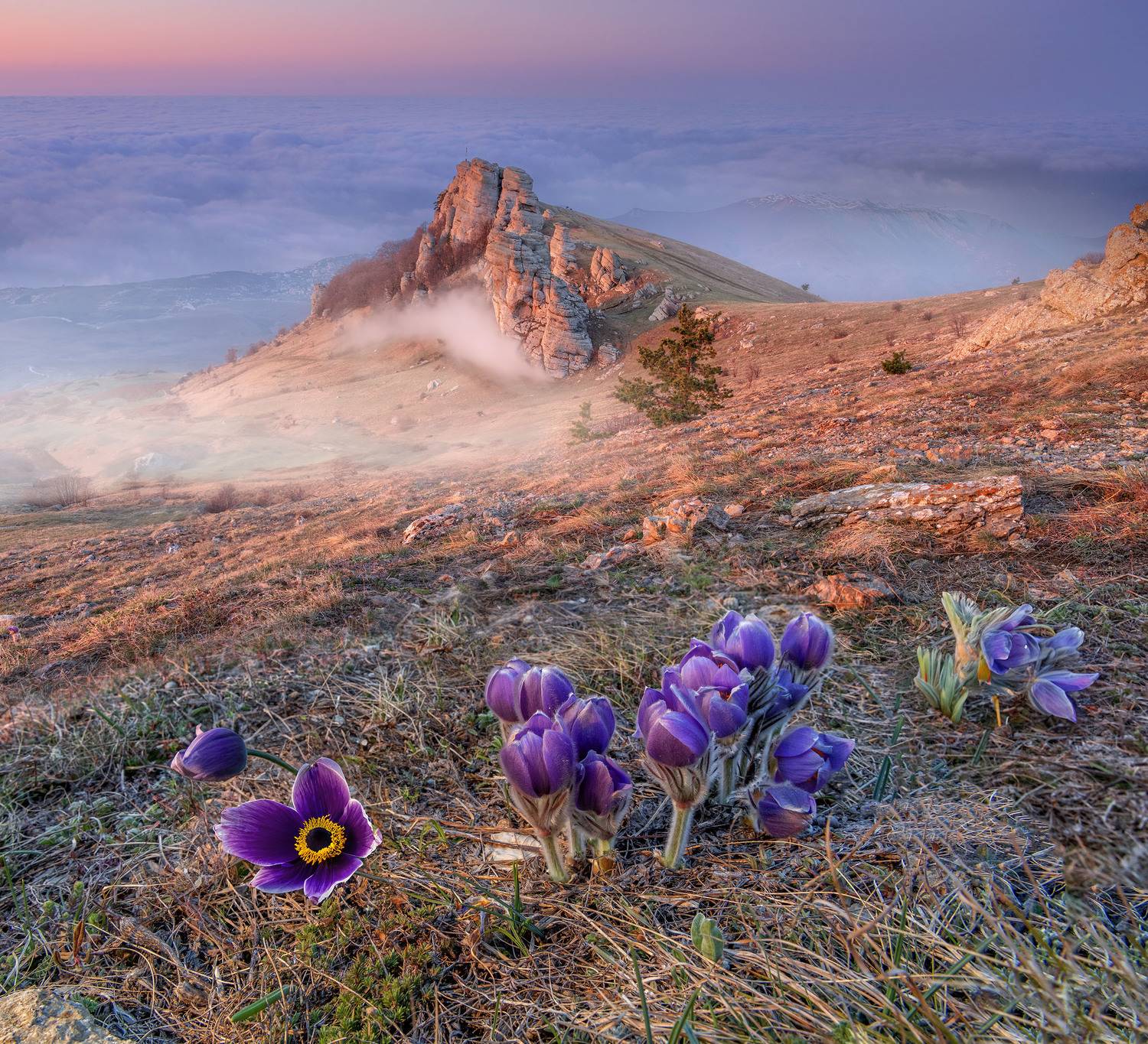 Фототуры с Владимиром Рябковым, #topnature #russpasibo #magic_shots #lovelyRussia #sunset_vision #exclusive_sky  #exclusive_shots #loves_russia2 #photoarena_nature #nature_sultans #nature_perfection #rsa_sky #rsa_sunset #photorussia #rsa_naturepics #sunse, Владимир Рябков