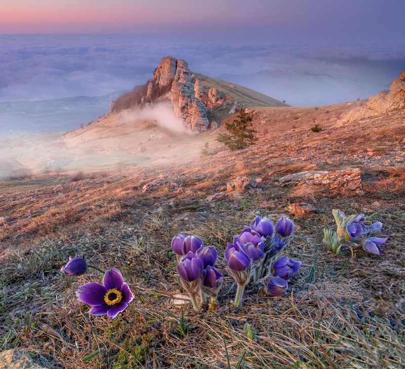 Демерджи, апрель. фото превью