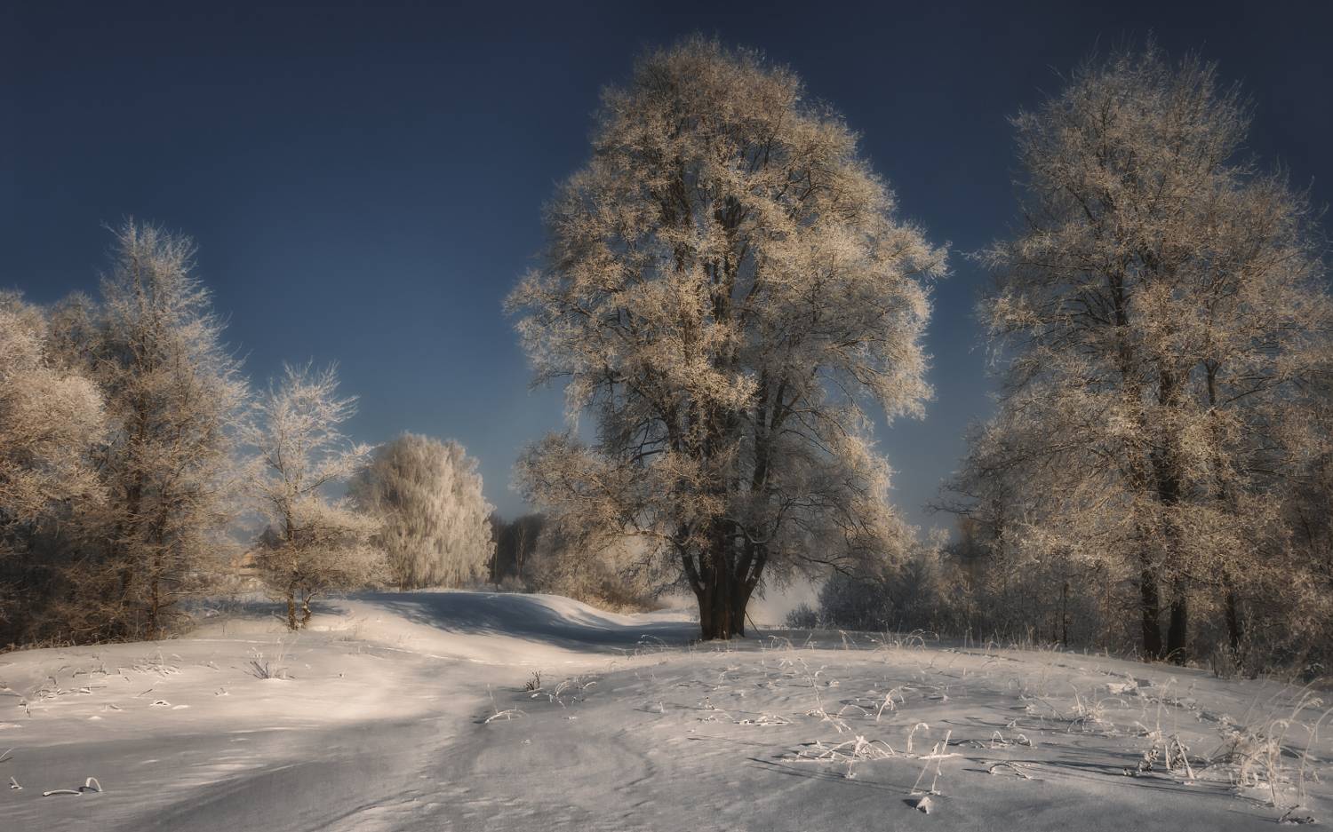 , Олег Дунаев