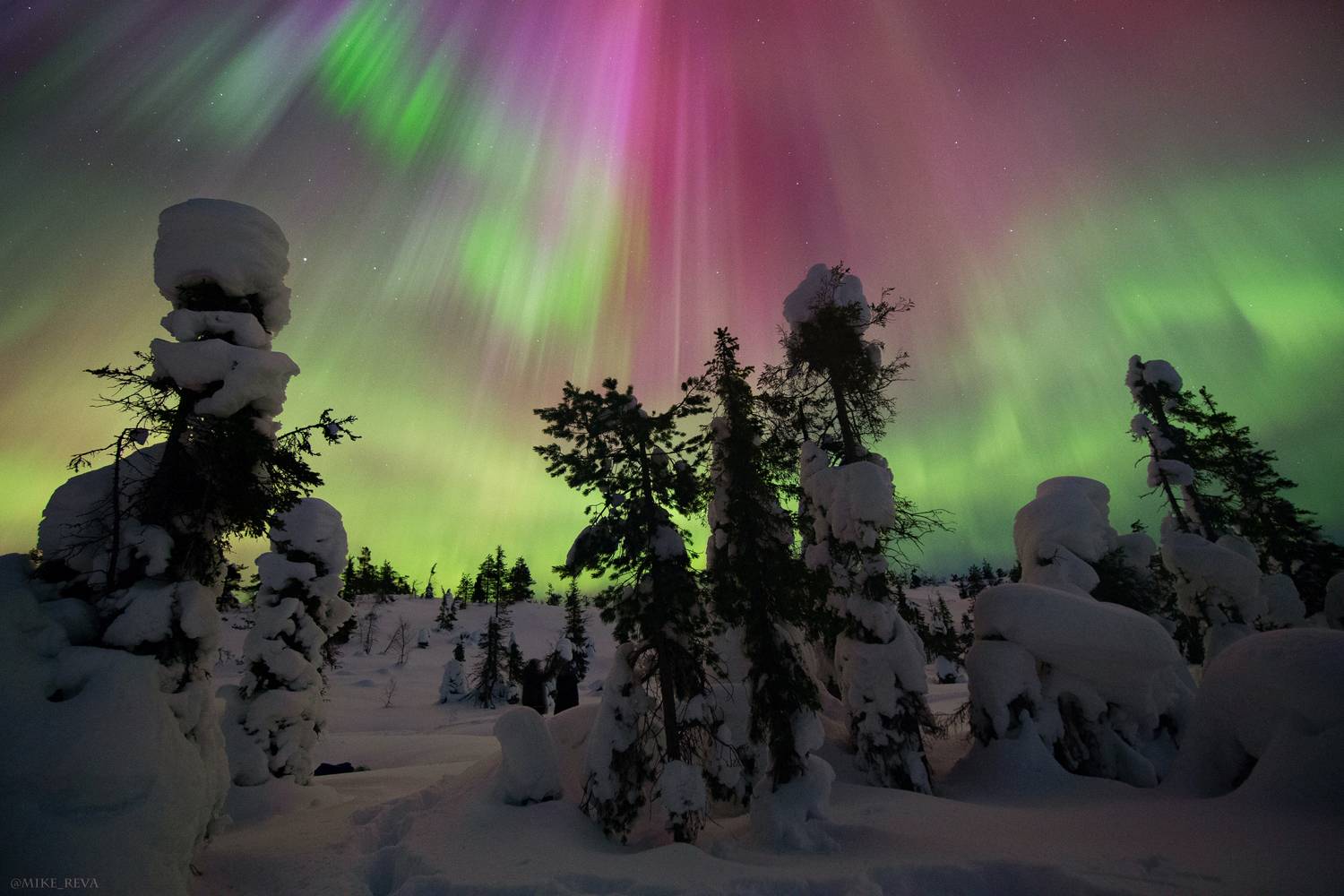 , Михаил Рева