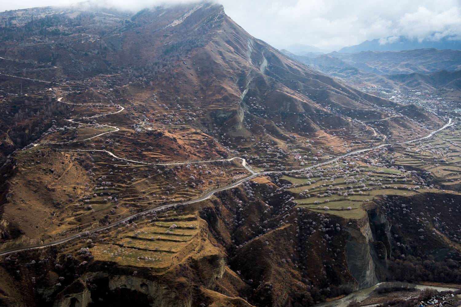 , Максим Ушаков