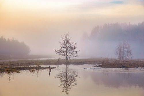 Нежась в утреннем тумане ранней весной