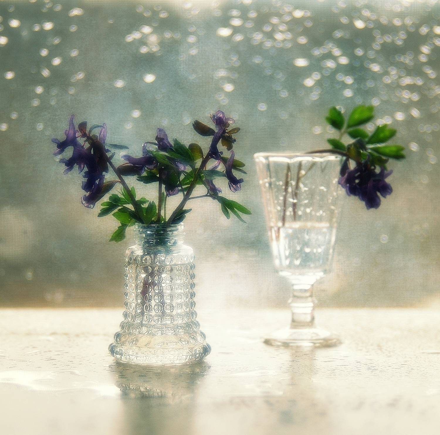 натюрморт,весна,цветы,хохлатка,, Наталия К