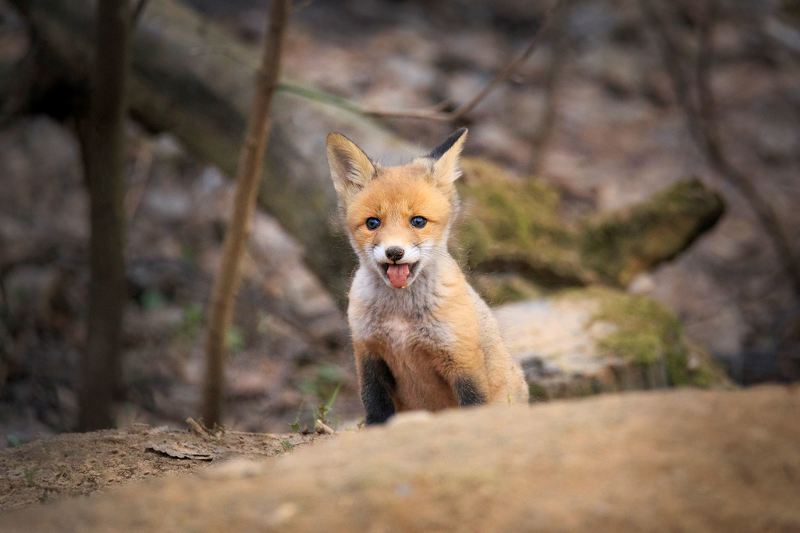 Эй, не стойте слишком близко фото превью