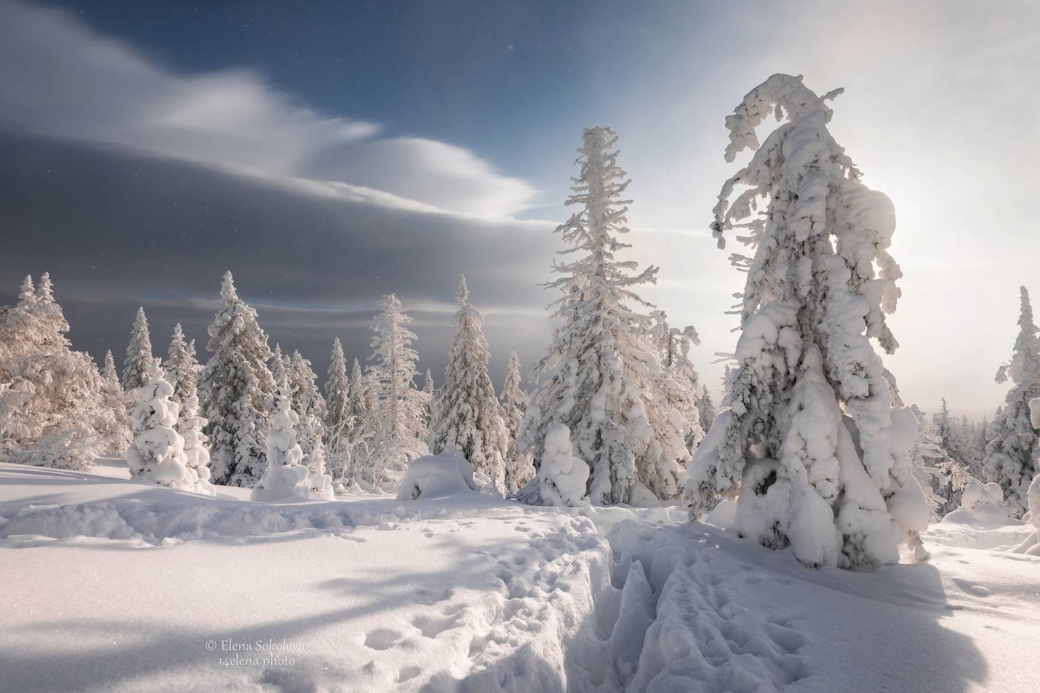 уреньга, хребет, горы, зима, челябинская область, снег, лес, Соколова Елена