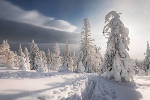 Хребет Уреньга
