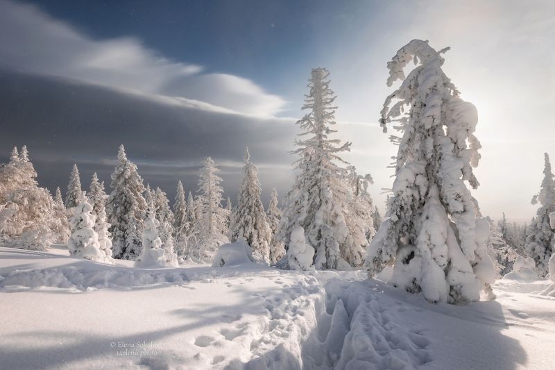 уреньга, хребет, горы, зима, челябинская область, снег, лес Хребет Уреньга фото превью