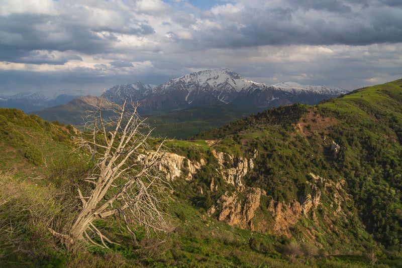 узбекистан, чимган, чарвакское водохранилище, uzbekistan, chimgan  фото превью