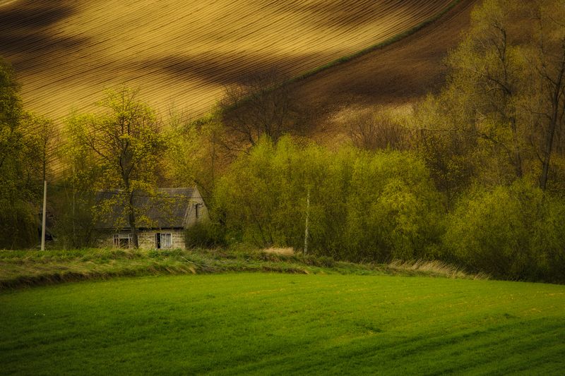 Tree, Nature, Grass, Day, Agriculture, Rural, Village, Field, Hill, Landscape, Ponidzie, Poland House in Ponidzie фото превью