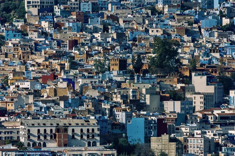 марокко, здания, дома, город, африка, пейзаж, архитектура, шефшауэн, улицы, северная африка, панорама, синий город, morocco, buildings, houses, city, africa, landscape, architecture, chefchaouen, streets, north africa, panorama, blue city Мозаика из домов | Mosaic of houses фото превью