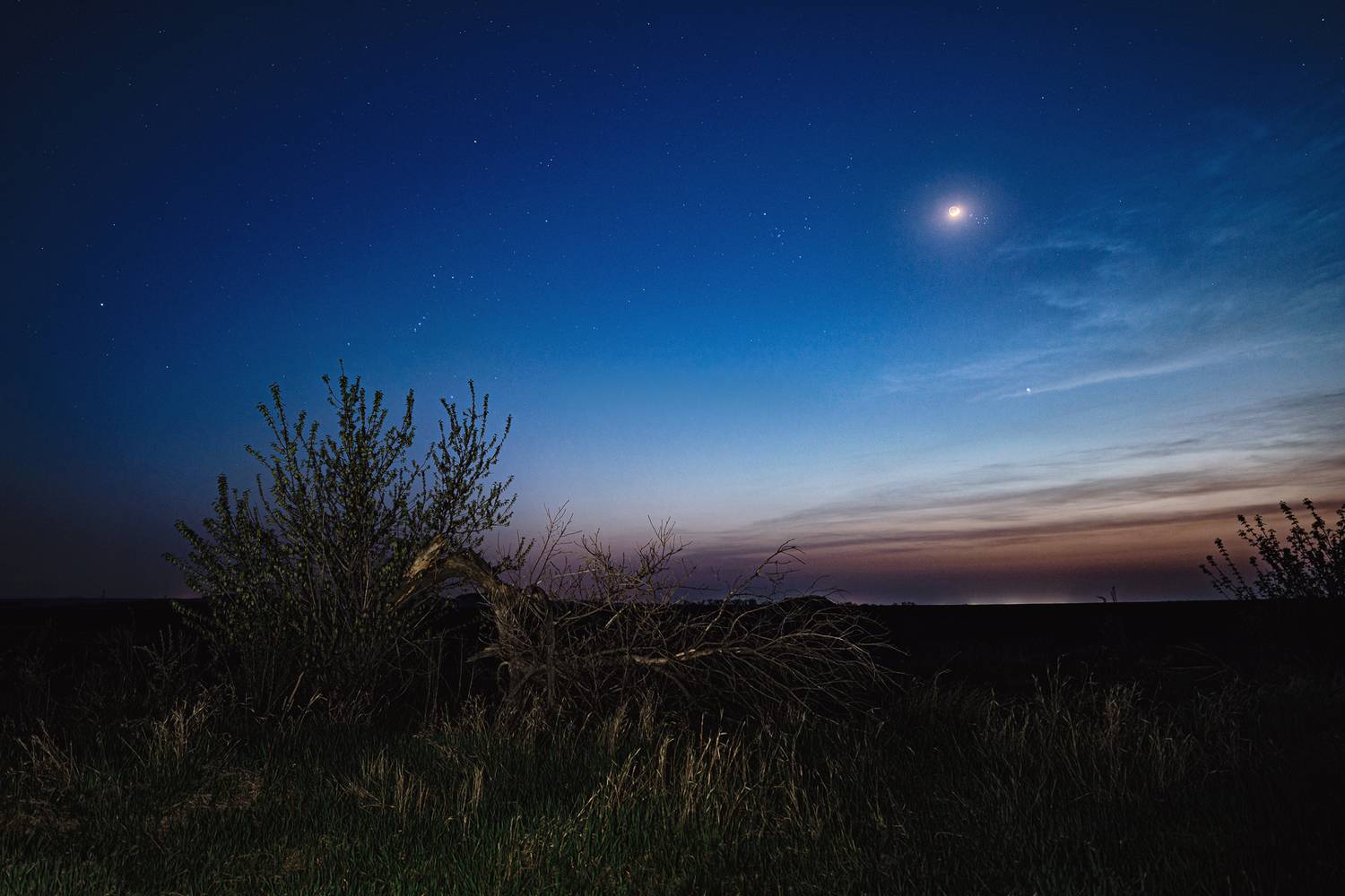 , Диденко Юрий