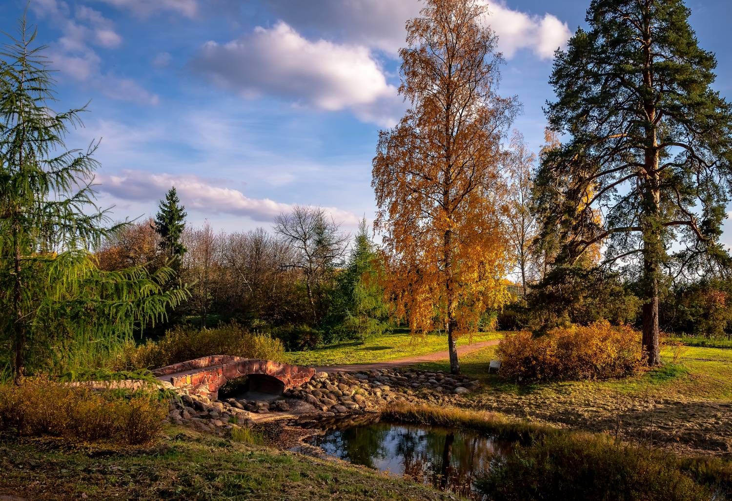 , Васильев Андрей