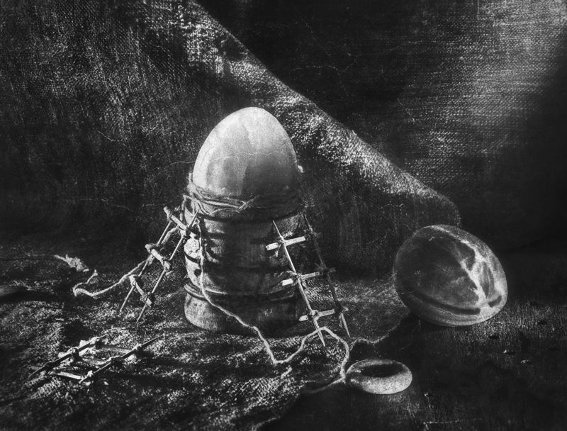 чёрно-белый, яйца, натюрморт Торжество удостоившегося фото превью