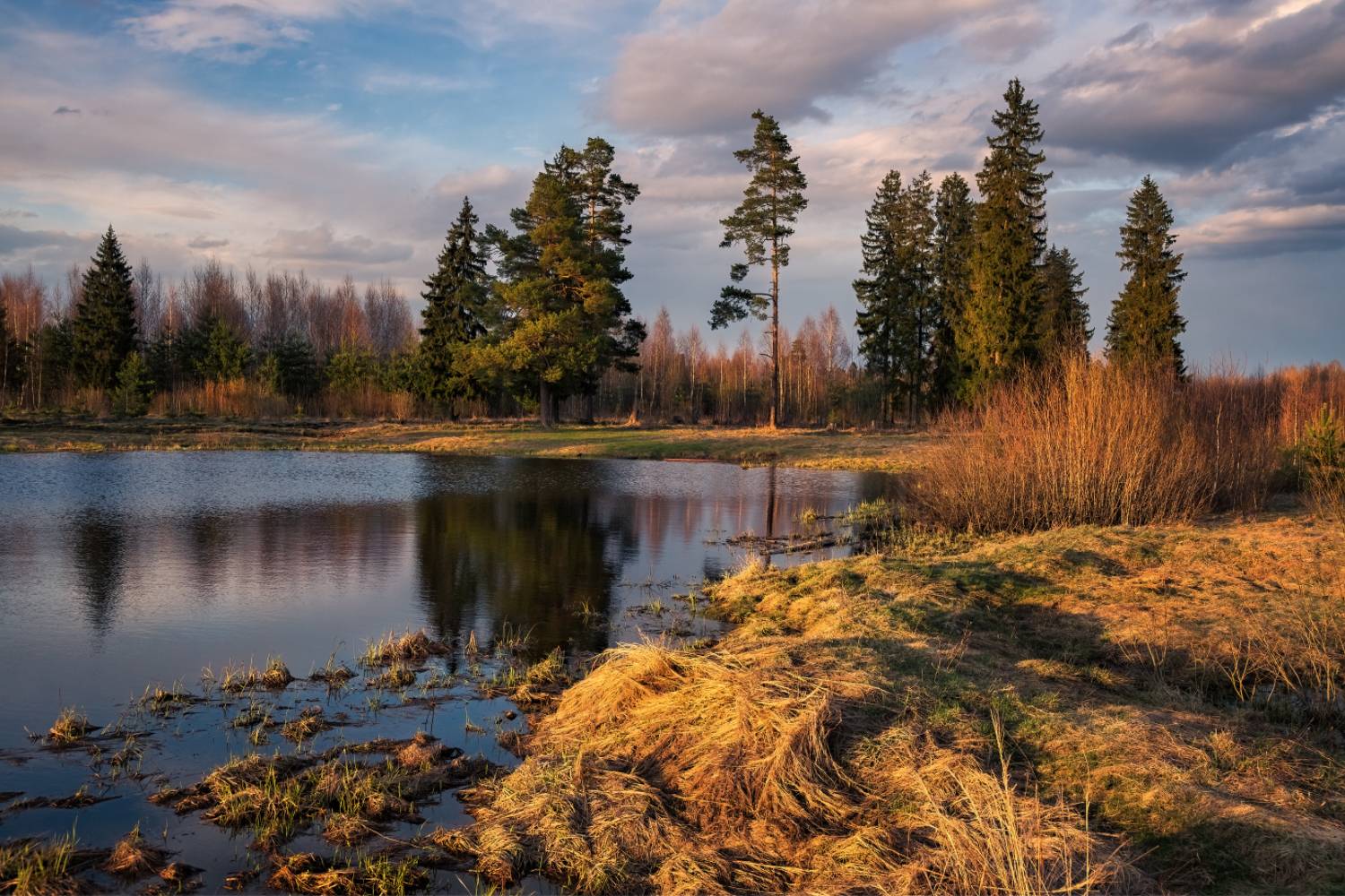 , Евгений Ерохин