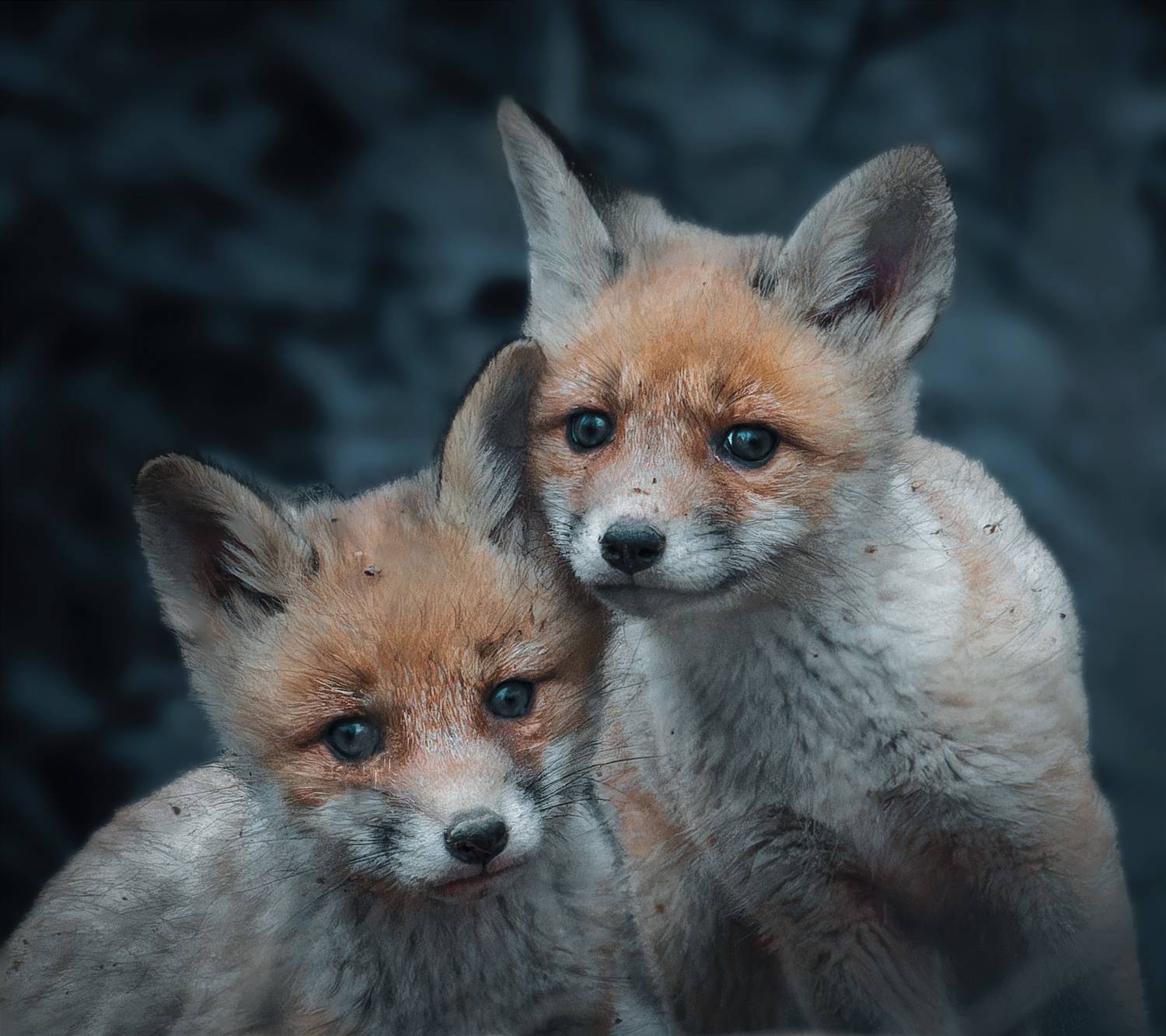 , Фото Александр