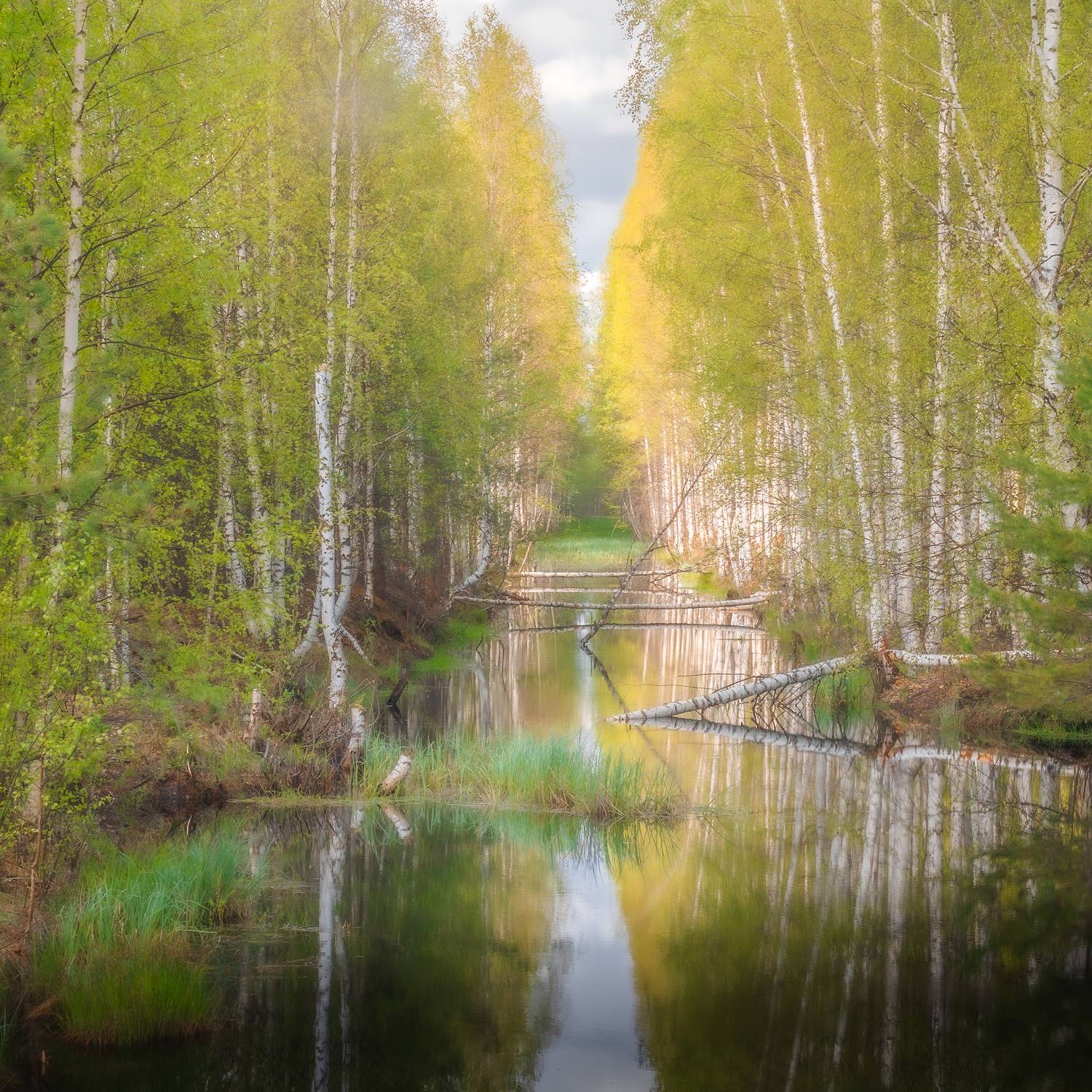 , Евгений Чикишев