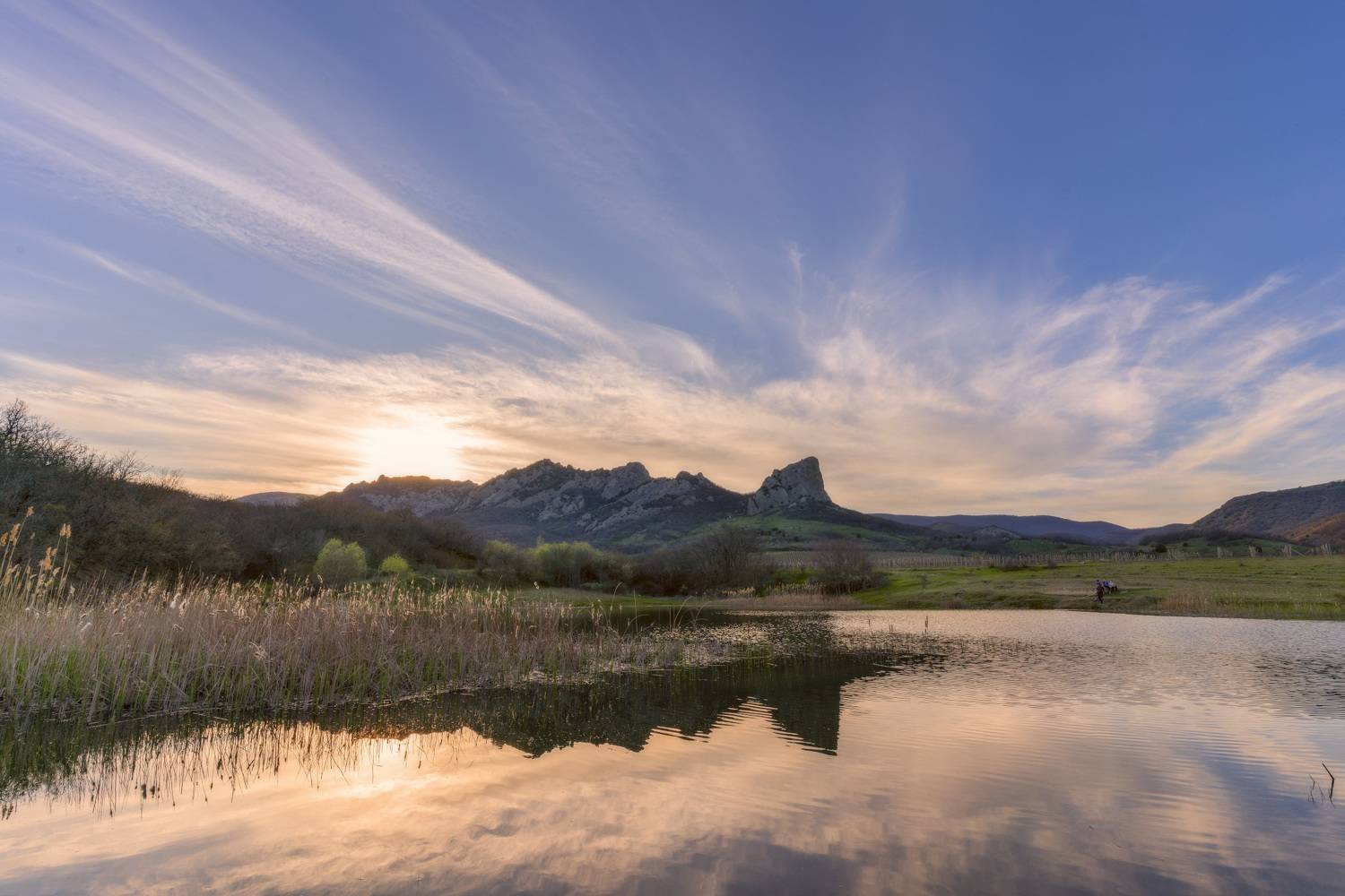 , Юлия Мальцева