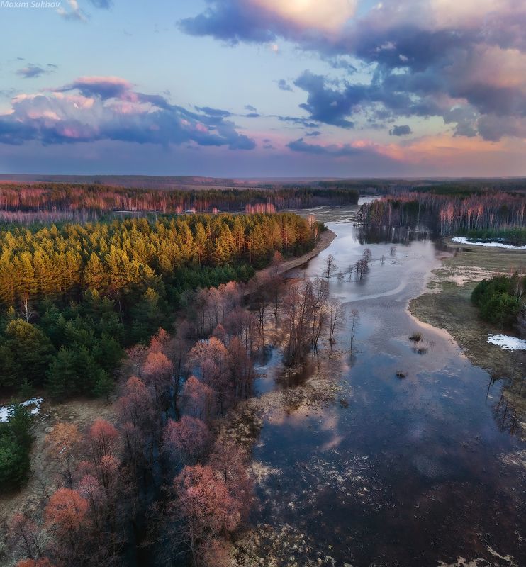 разлив, половодье, весна, сосны, закат, вечер, апрель Большая вода на Суворощи фото превью